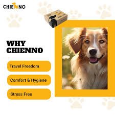 Chienno's Social Media Presenc